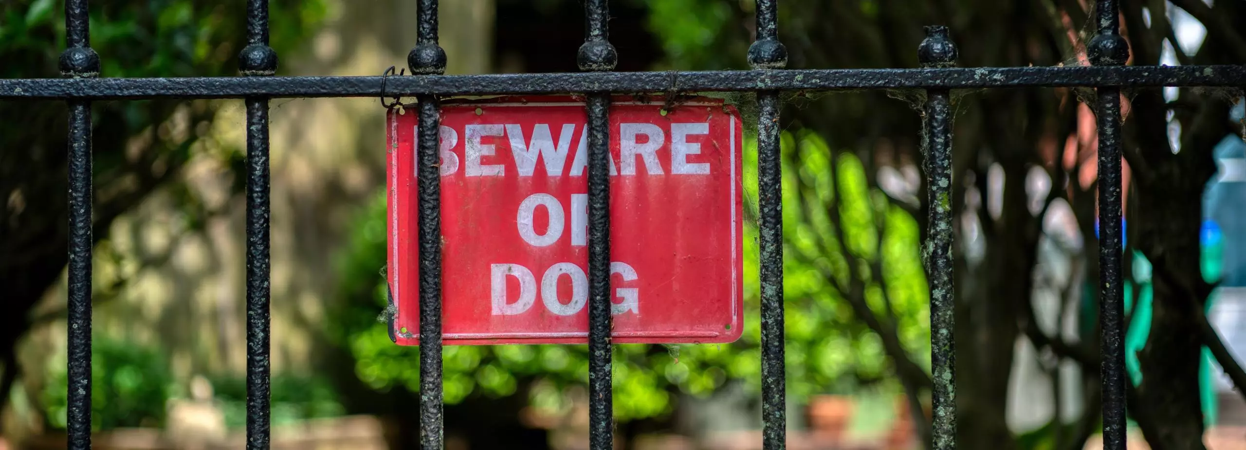 dog-bite-2 Dog Bite 2
