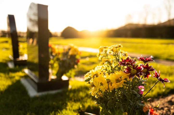 Flowers in a burial plot